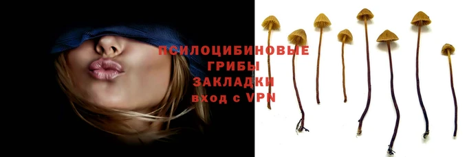 меф Бородино